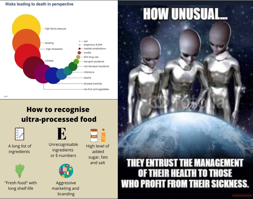 Alien take